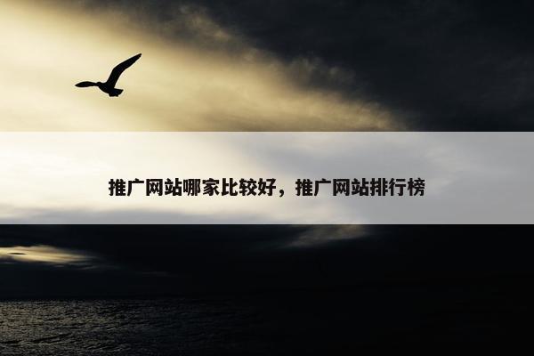 推广网站哪家比较好，推广网站排行榜