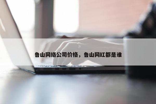 鲁山网络公司价格，鲁山网红都是谁