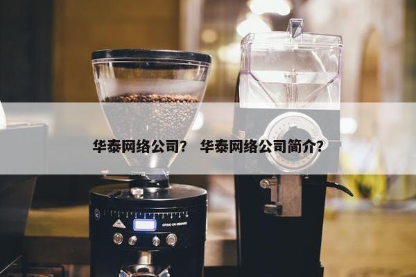 华泰网络公司？ 华泰网络公司简介？