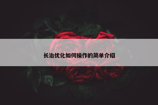 长治优化如何操作的简单介绍