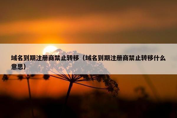 域名到期注册商禁止转移（域名到期注册商禁止转移什么意思）
