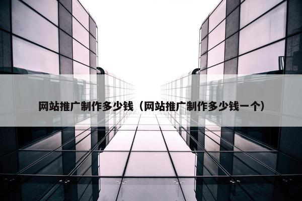 网站推广制作多少钱（网站推广制作多少钱一个）