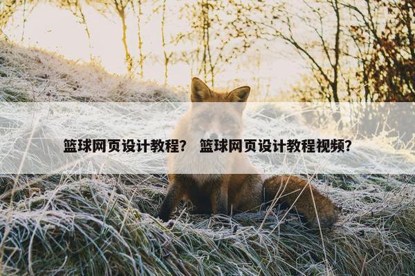 篮球网页设计教程？ 篮球网页设计教程视频？