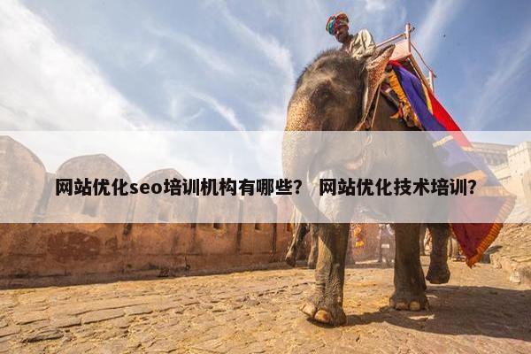 网站优化seo培训机构有哪些？ 网站优化技术培训？