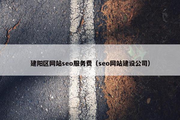 建阳区网站seo服务费（seo网站建设公司）