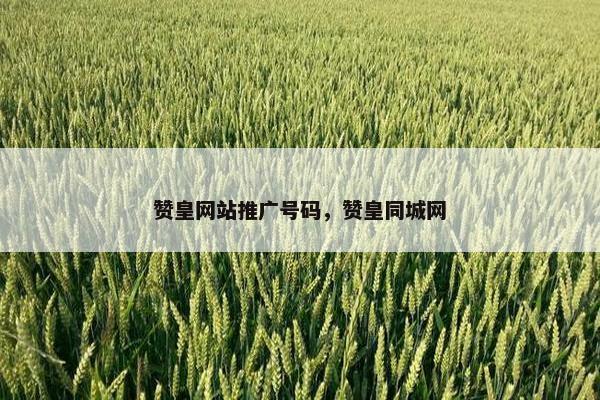 赞皇网站推广号码，赞皇同城网