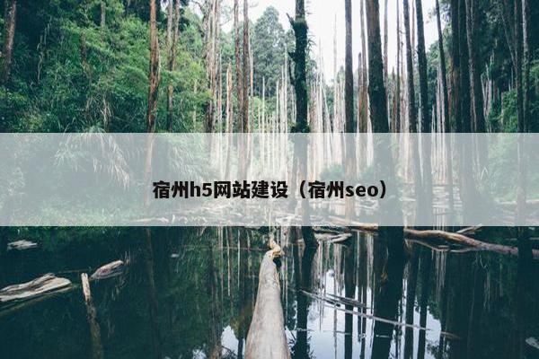 宿州h5网站建设（宿州seo）