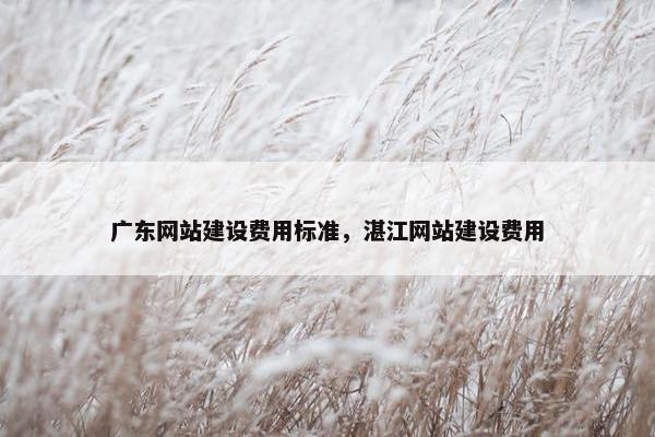 广东网站建设费用标准，湛江网站建设费用