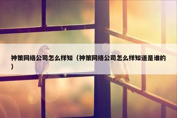 神策网络公司怎么样知（神策网络公司怎么样知道是谁的）