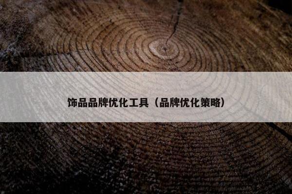 饰品品牌优化工具（品牌优化策略）