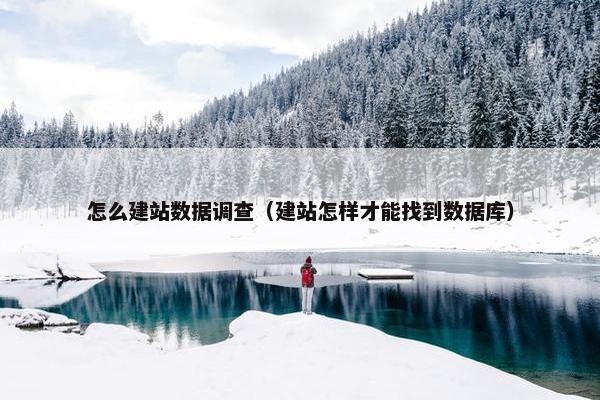 怎么建站数据调查（建站怎样才能找到数据库）