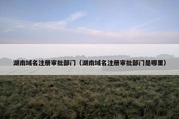 湖南域名注册审批部门（湖南域名注册审批部门是哪里）