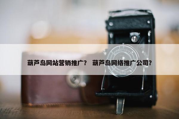 葫芦岛网站营销推广？ 葫芦岛网络推广公司？