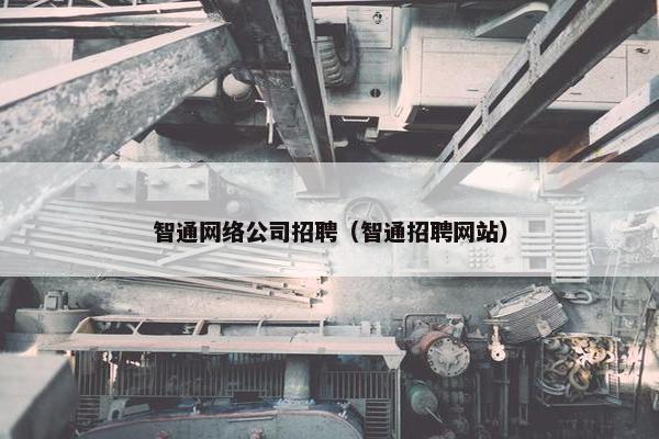 智通网络公司招聘（智通招聘网站）