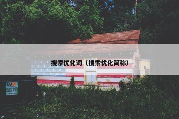 搜索优化词（搜索优化简称）