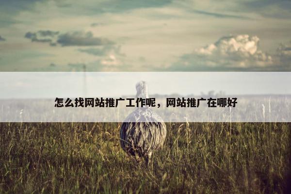 怎么找网站推广工作呢，网站推广在哪好