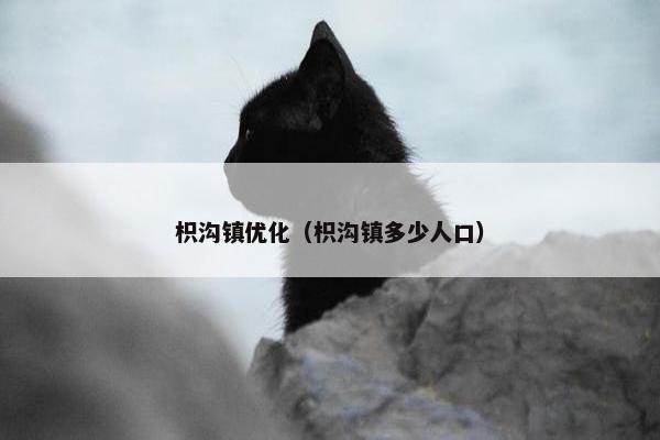 枳沟镇优化（枳沟镇多少人口）