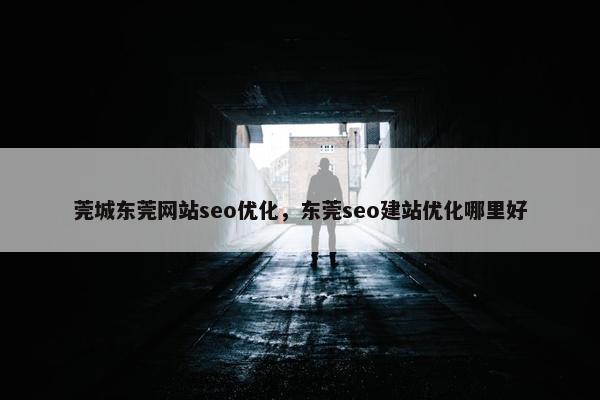 莞城东莞网站seo优化，东莞seo建站优化哪里好