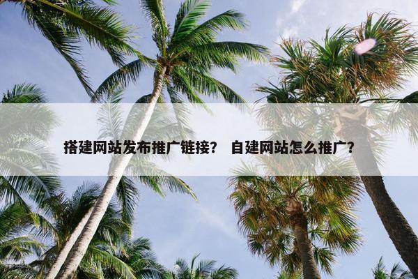 搭建网站发布推广链接？ 自建网站怎么推广？