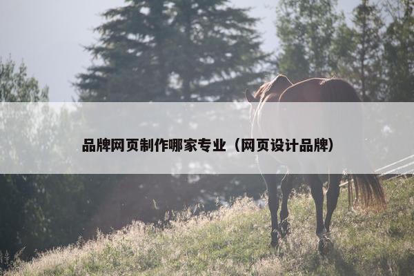 品牌网页制作哪家专业（网页设计品牌）