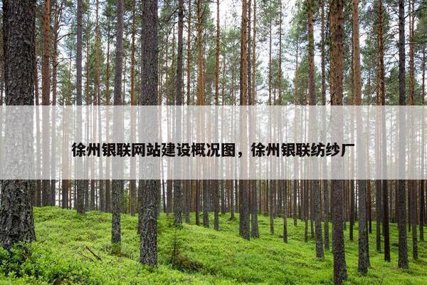徐州银联网站建设概况图，徐州银联纺纱厂
