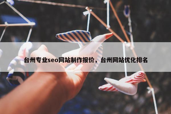 台州专业seo网站制作报价，台州网站优化排名