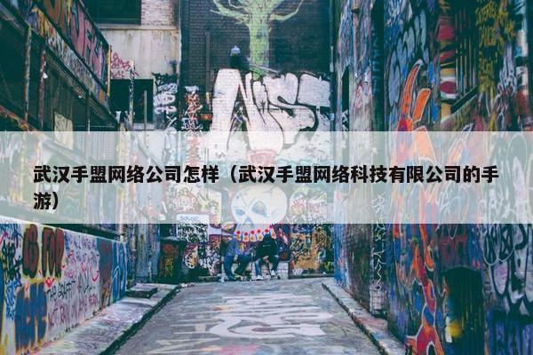 武汉手盟网络公司怎样（武汉手盟网络科技有限公司的手游）