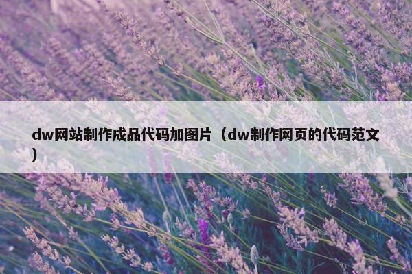 dw网站制作成品代码加图片（dw制作网页的代码范文）
