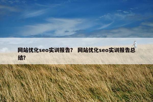 网站优化seo实训报告？ 网站优化seo实训报告总结？