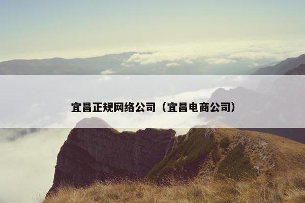 宜昌正规网络公司（宜昌电商公司）
