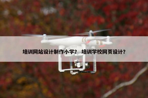 培训网站设计制作小学？ 培训学校网页设计？