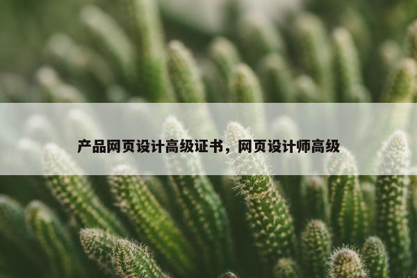 产品网页设计高级证书，网页设计师高级