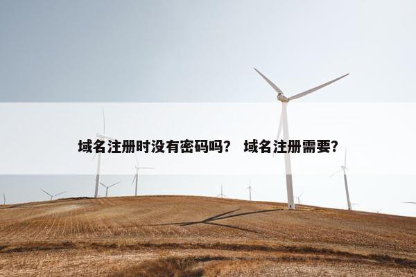 域名注册时没有密码吗？ 域名注册需要？