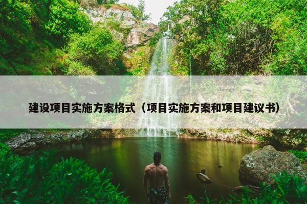建设项目实施方案格式（项目实施方案和项目建议书）