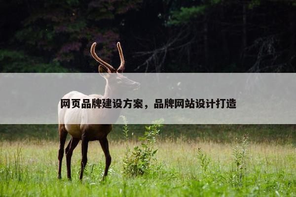 网页品牌建设方案，品牌网站设计打造