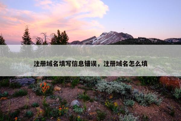 注册域名填写信息错误，注册域名怎么填