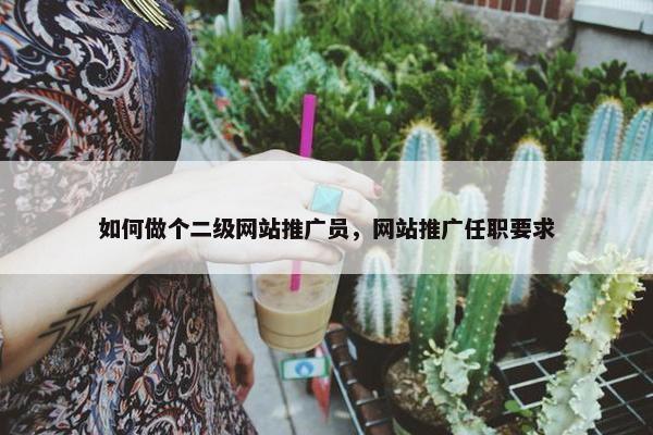 如何做个二级网站推广员，网站推广任职要求