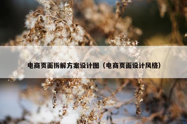 电商页面拆解方案设计图（电商页面设计风格）