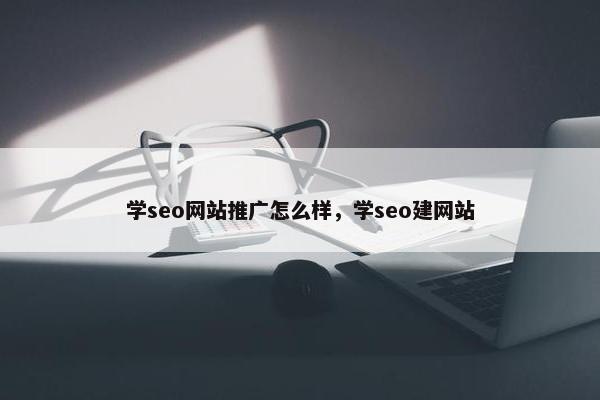 学seo网站推广怎么样，学seo建网站