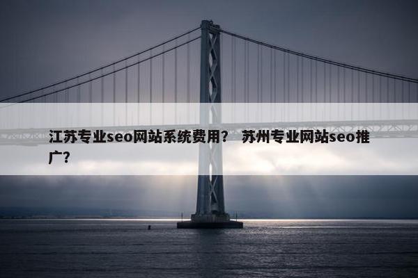 江苏专业seo网站系统费用？ 苏州专业网站seo推广？