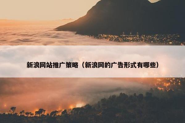 新浪网站推广策略（新浪网的广告形式有哪些）