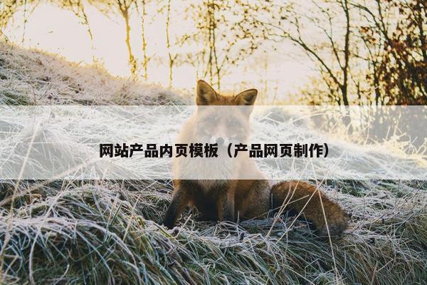 网站产品内页模板（产品网页制作）
