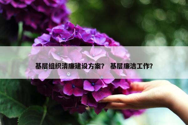基层组织清廉建设方案？ 基层廉洁工作？
