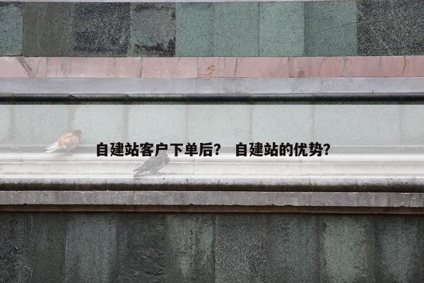 自建站客户下单后？ 自建站的优势？