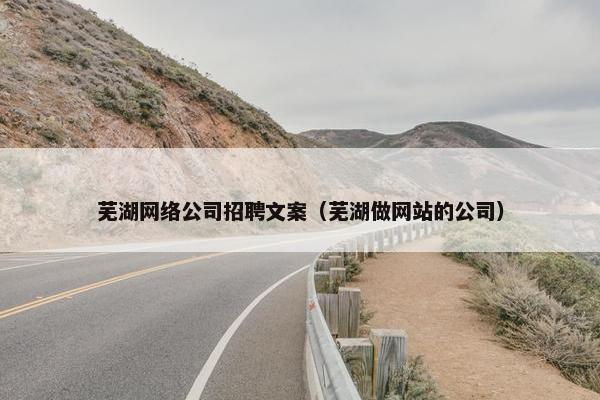 芜湖网络公司招聘文案（芜湖做网站的公司）