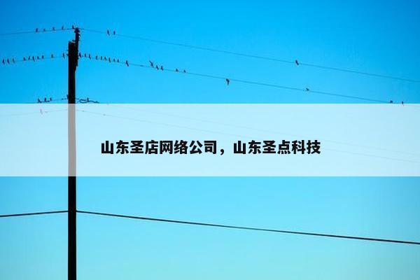山东圣店网络公司，山东圣点科技