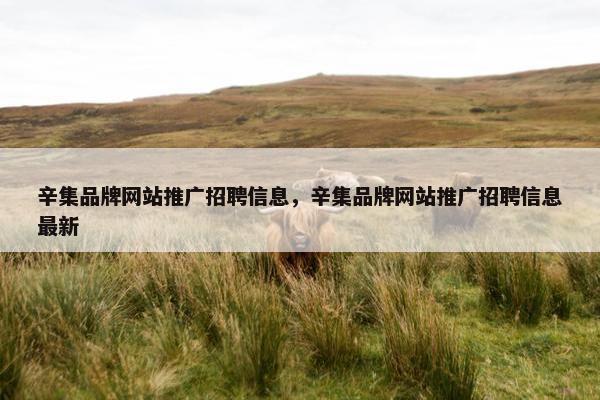 辛集品牌网站推广招聘信息，辛集品牌网站推广招聘信息最新