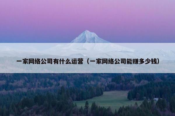 一家网络公司有什么运营（一家网络公司能赚多少钱）