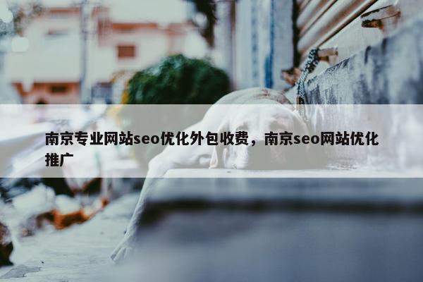 南京专业网站seo优化外包收费，南京seo网站优化推广