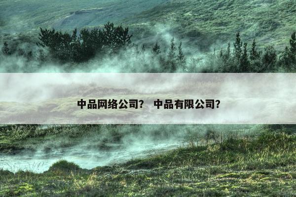 中品网络公司？ 中品有限公司？